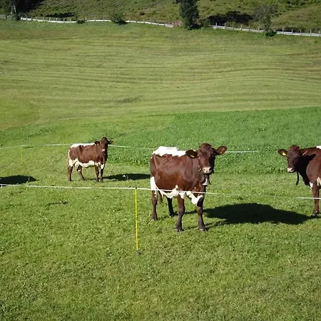 Farm stay Stapfgut Rauris