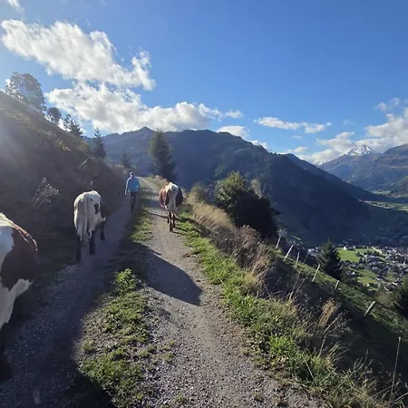 Stapfgut * Rauris